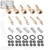 CGS Magazine Input Valve Maintenance Kit / 5pcs����  �ݼ�/�ö�ƽ����  30g����  Ȳ��/����ȣȯ�� CYMA CG...